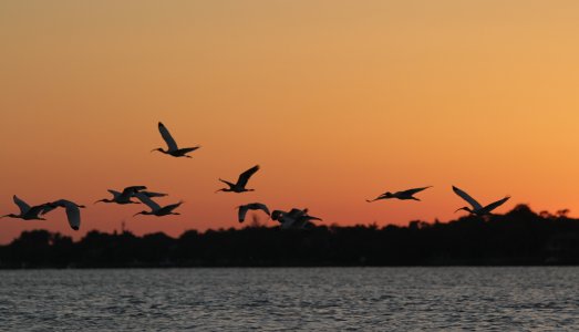 Sunset over Jupiter, FL