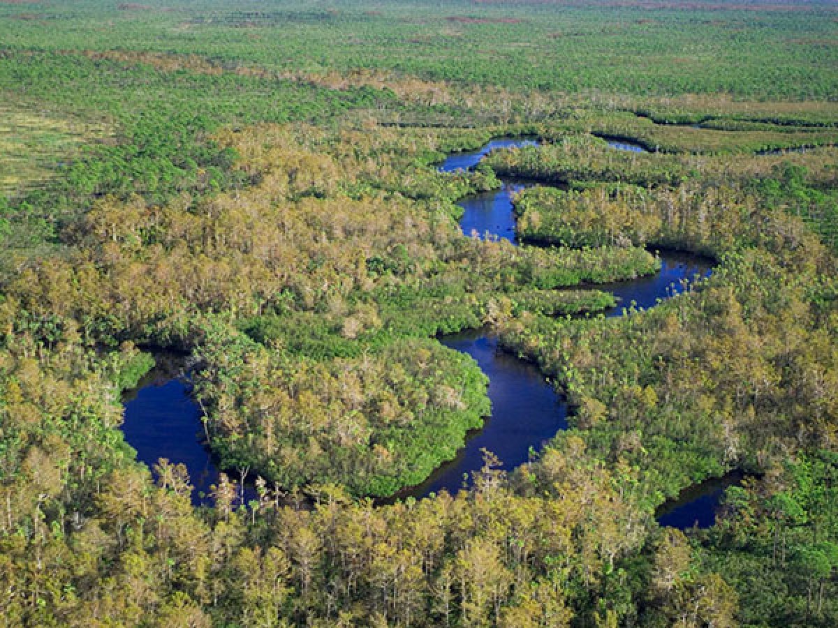 Kayak Rentals in Riverbend Park, FL | Jupiter Outdoor Center